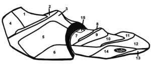 BlackTip Sea-Doo GTX 155/170/230/300 Skräddarsydd Sätesöverdrag 18-23